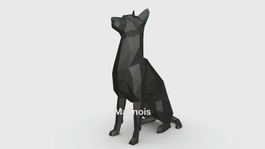 Low Poly MALINOIS